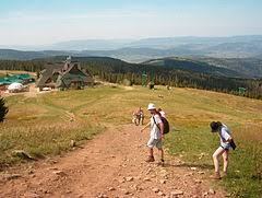 Hala Miziowa