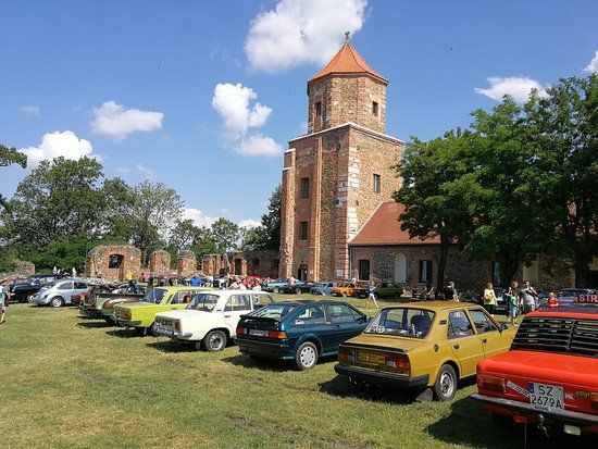 Zamek w Toszku